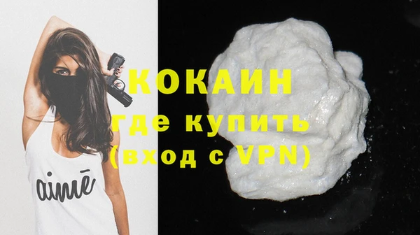 гидра Магас