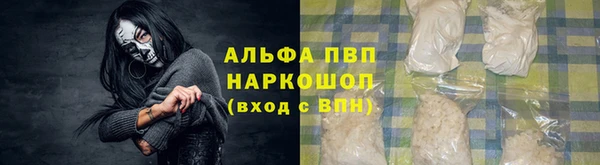 гидра Магас