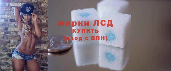 гидра Магас