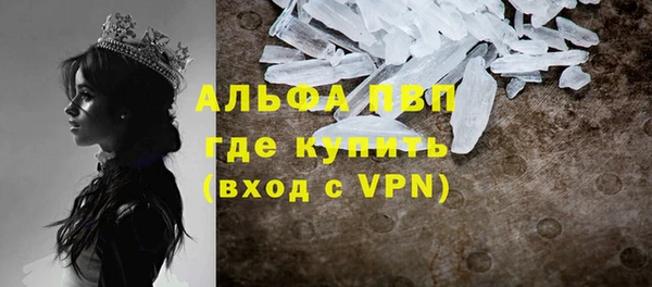 гидра Магас