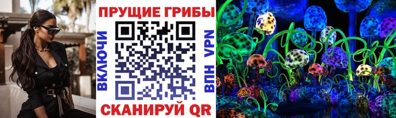 Псилоцибиновые грибы Psilocybine cubensis  даркнет сайт  Трёхгорный 